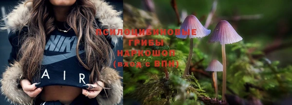дживик Армянск