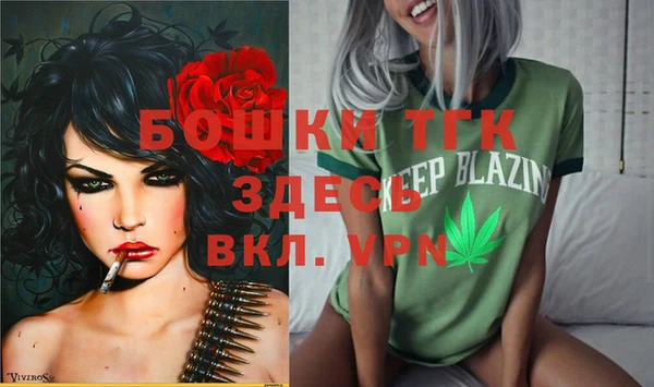 дживик Армянск